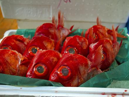 Red Fish, Tsukiji Fish Market, Tokyo