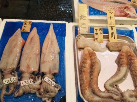 Squid and octopus tentacles