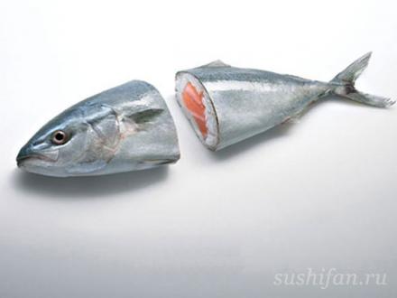 суши лосось | суши, роллы, сашими