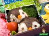 http://sushifan.ru/sites/default/files/imagecache/fotos_600/100526-Penguins.jpg