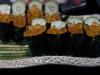 http://sushifan.ru/sites/default/files/imagecache/fotos_600/4796646015_e119f58a3e_b.jpg