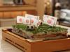 http://sushifan.ru/sites/default/files/imagecache/fotos_600/7moji_20100625170450.jpg