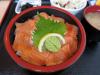 Salmon on Sushi Rice