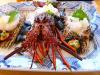 http://sushifan.ru/sites/default/files/imagecache/fotos_600/rrr.jpg